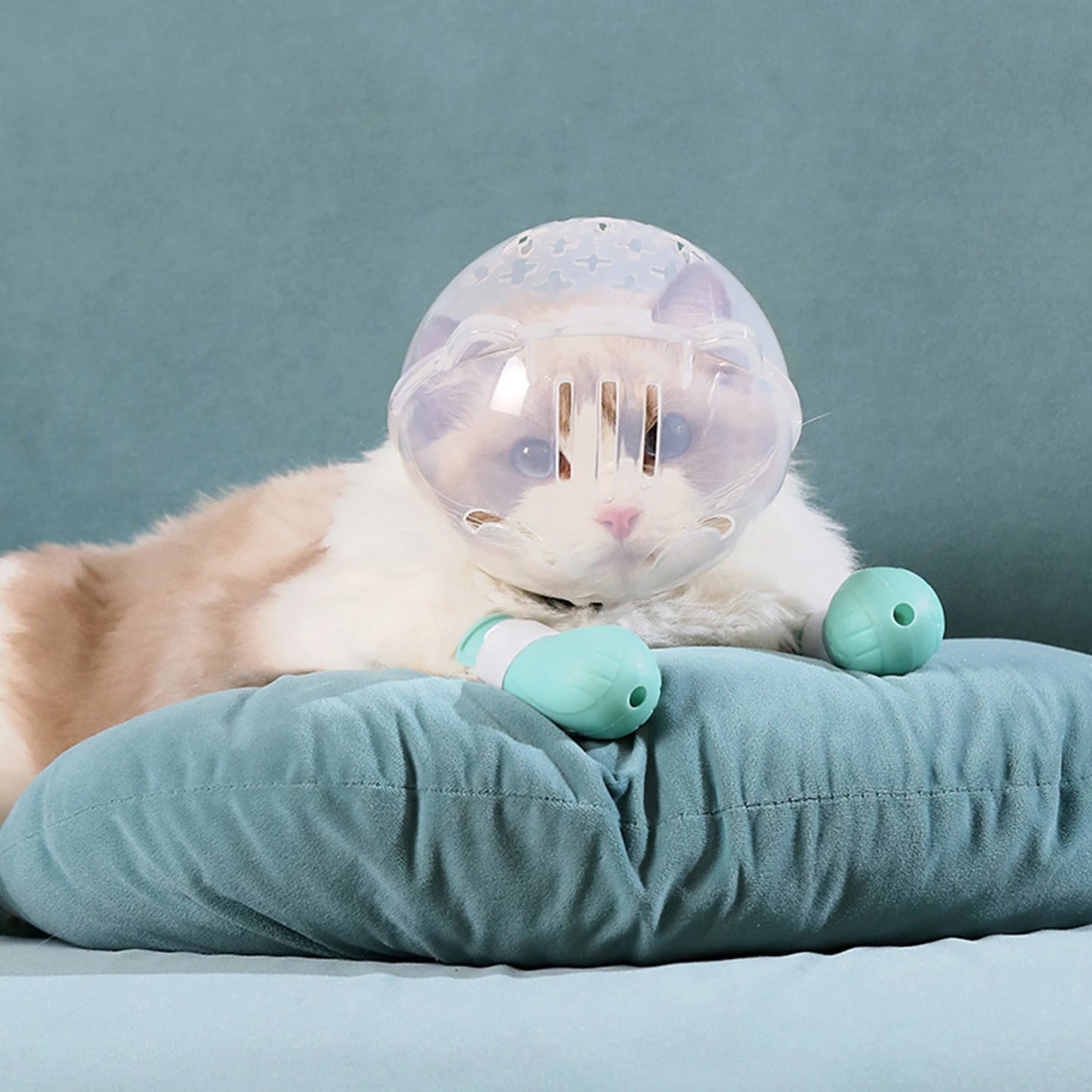 Breathable Cat Muzzle Hood Anti Bite For Safe Grooming