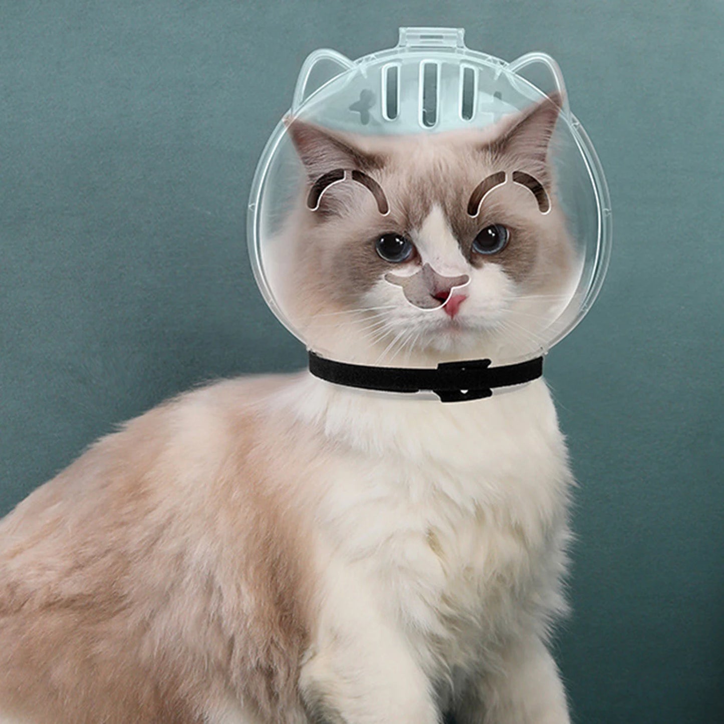 Breathable Cat Muzzle Hood Anti Bite For Safe Grooming