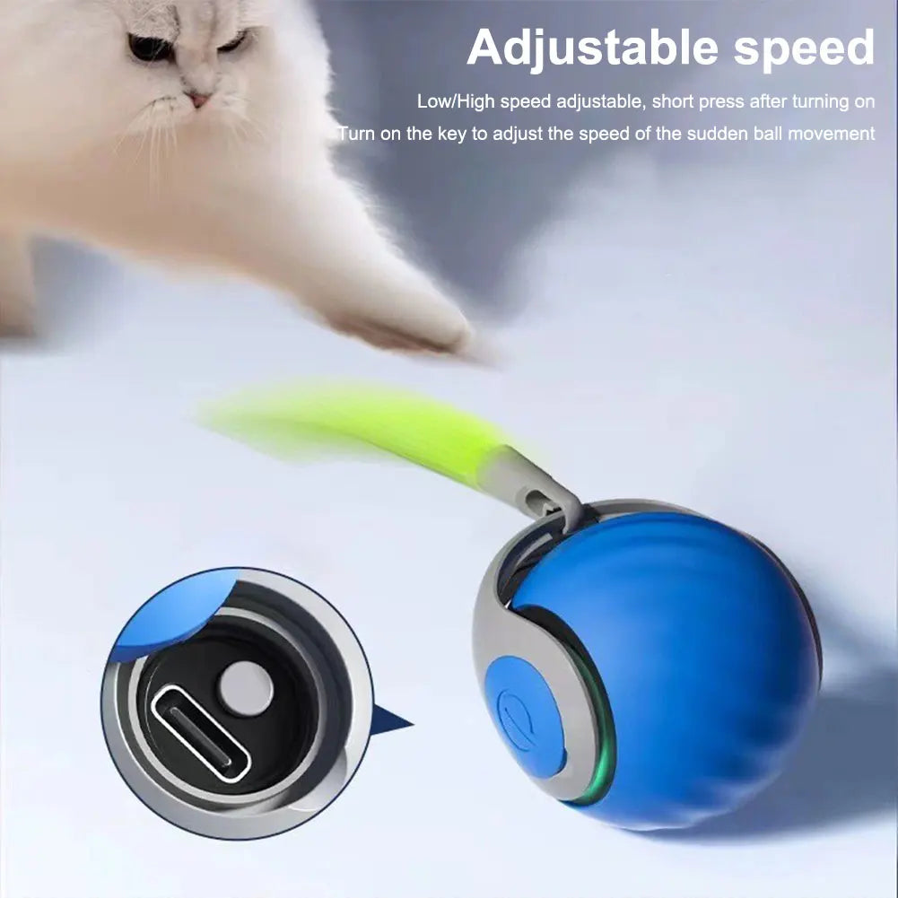 Interactive Electronic Pet Ball Toy Rechargeable Moving Ball For Dogs Cats