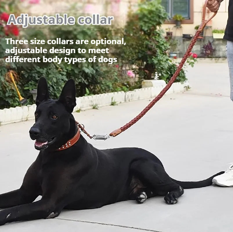 5-Foot Genuine Dog Leash with Cowhide Collar - High Quality Punch Dog Walking Rope for Medium & Large Dogs, Golden Retriever